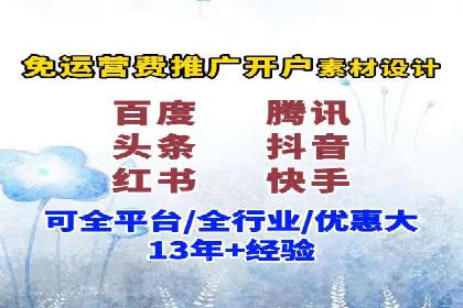 竞价广告的投放策略与效果评估——以一成功企业为例